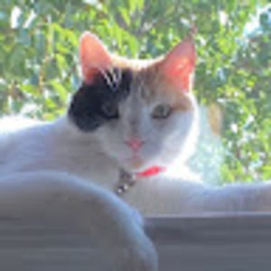 Meet your Posher, Annie